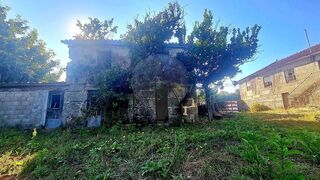 -2125901007220_b383c496-6a7d-4d92-b727-8d3a57d995d1.jpg