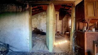 -2125901007220_b779fc91-b50d-4bb2-adbe-3d39a8a16a3a.jpg