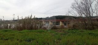 -2125921026059_1033e1c0-dd1c-4f95-92c5-8e9adfaaebac.jpg
