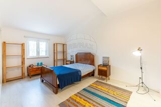 -2125951019033_89025e6a-75dc-4bd6-baaf-69163e125c39.jpg