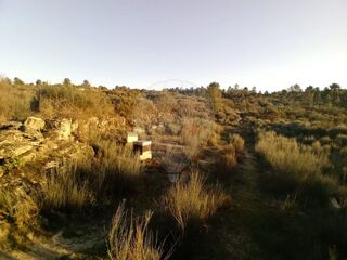 -2126021103029_6ec4dc1d-ac73-46ac-8e0e-97ee4f4a220f.jpg