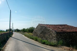-2126021143038_07b0d664-ca90-453b-9ff4-d6ac5376ca4a.jpg