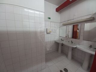 -2126061001141_b4215693-66db-4b19-8d3e-98931028c75d.jpg