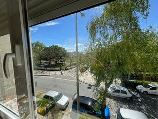 -2126061001216_11401723-e470-4259-b881-a0ffd5a30cf0.jpg