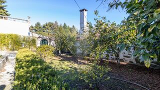 -2126061001236_4e025cbe-b035-41bb-94b6-931a646d29a0.jpg