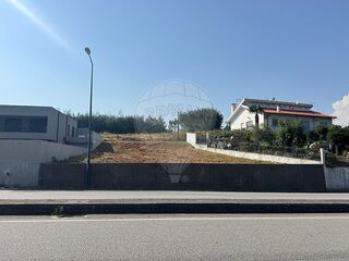 -2126061001274_80442756-7a94-4ac9-8b90-77d49c216090.jpg