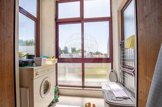 -2126061001275_578c152b-2793-444f-bed7-bb448a2e57d7.jpg
