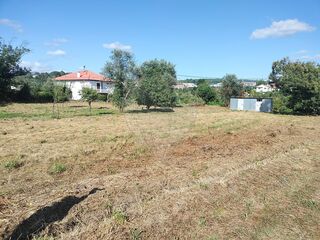 -2126061038029_212fabaa-8bd7-4524-b422-4a987db12241.jpg