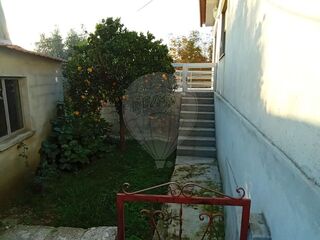 -2126061038037_90b2fcbe-0b16-4ce8-b32d-cab01847b997.jpg