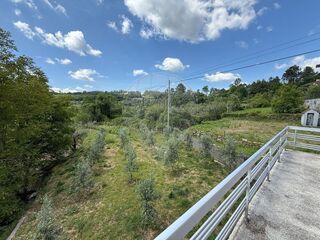 -2126061038037_d7608747-cd82-4a08-9914-9e1ccfab1ab3.jpg