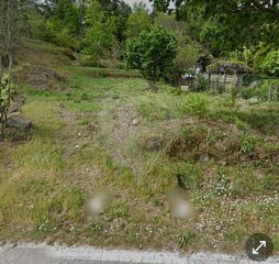 -2126061054009_fce5f429-c2c9-4c9f-a903-bda2addc8bad.jpg