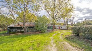 -2126061055033_6d9eeec7-f439-4487-a8f9-2b8fd8b4acce.jpg