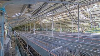 -2126061055033_f161a5f5-a384-4201-abd1-0aa65a61c935.jpg