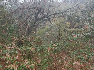 -2126061077006_459ca944-fb15-4544-b1c7-eb601cd1a8d6.jpg
