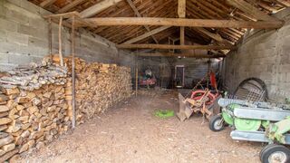 -2126061077013_a0276c04-e158-41aa-a531-b38ace213dd4.jpg