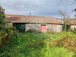 -2126061077015_4bad07f3-51e7-4d54-9557-dfabd574dfd9.jpg