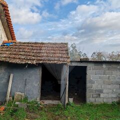 -2126061077019_acd36f47-ebb4-43c0-b07f-db47c57553d2.jpg