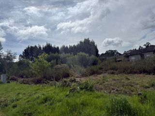 -2126061079009_26c4e18c-ce13-4aa6-9bfc-0c72768be97c.jpg