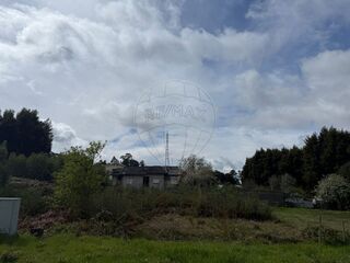 -2126061079009_3f6ff372-1c12-47ec-a654-efa1bbfd8abb.jpg