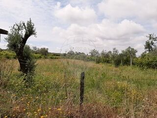 -2126061084030_cf90ace9-8872-4a09-bc32-5d2b23760075.jpg