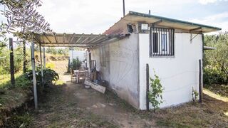 -2126061084038_174d3ac9-3859-41dd-b001-694463198584.jpg