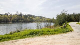 -2126061084039_d0f5a82b-88a5-4248-8991-d88f3a2eba87.jpg