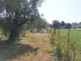 -2126061084045_7bde4b07-3c5a-4315-8eef-935ab7f3fec9.jpg