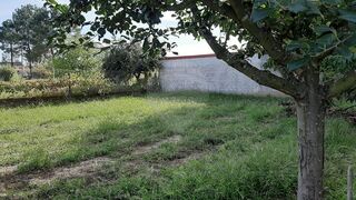 -2126061084048_0e759706-a749-43e1-9e71-36a3af4a58cc.jpg