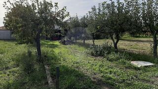 -2126061084048_15d6ee5b-53cd-4231-bdff-74b7daba1a02.jpg