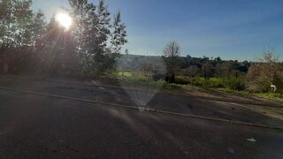 -2126061084069_454611c5-1796-4911-bfcb-d0864891612a.jpg