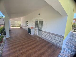 -2126101071003_2bfafa0d-0ec5-4d50-9eca-f3786e6d38a1.jpg
