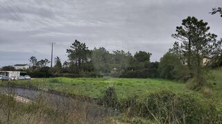-2126131017035_134a11e5-da9c-4ff9-9e7a-ccd1f422d165.jpg