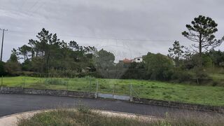 -2126131017035_79ddf1f6-ddcc-4117-9bf2-d11691ab0215.jpg