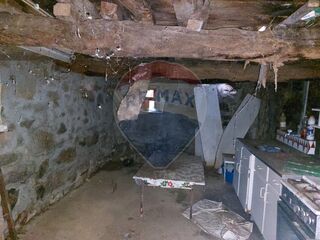-2126161007008_1ab0bd56-1972-4756-ab3b-76d289355797.jpg