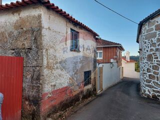 -2126161007008_5063d2af-faab-4046-a30a-8b919c610576.jpg