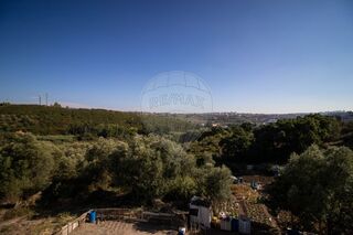 -2126171059039_d821dc9f-7957-4762-9cff-6de46e76d9df.jpg