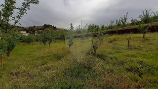 -2126191007097_a29540b5-94c4-4efd-8dc2-2a6a548dc680.jpg