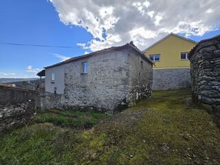 -2126191010021_50febcec-5da7-44da-b3bc-cd26b7ac74dc.jpg