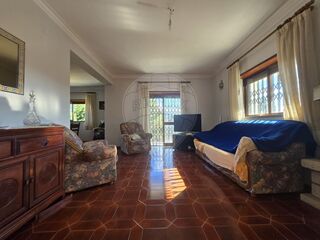-2126191010022_1eacb162-a36f-45db-82a4-377e6f2ec470.jpg