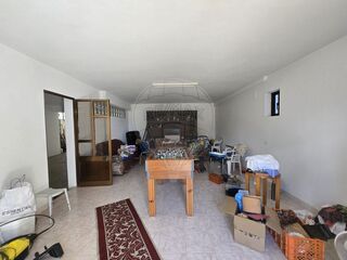 -2126191010022_26e83fa1-c3b6-4e16-b70f-2173be7051ad.jpg