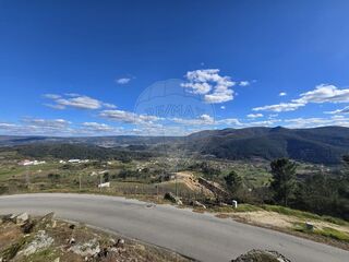 -2126191010022_f329b352-7a7d-49aa-8e52-fa4534f36e43.jpg