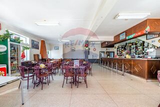 -2126221008209_0b859cdd-ef9d-447c-81db-8cfea9e728f2.jpg