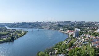 -2126221008412_2f76261c-50d2-4afa-ae16-7f12dbf9403a.jpg