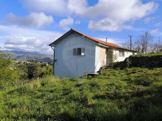 -2126281047017_28e3806e-ddee-45a4-afed-c7b0565301ce.jpg