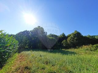 -2126371005026_be2f81ae-fd32-4fa9-afb1-3fecf4c4545d.jpg