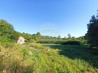 -2126371005026_f55a07eb-5a50-44d3-81a1-5146f9042c5d.jpg