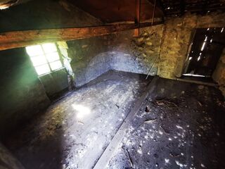 -2126371005061_09cb081c-8226-4f62-9abe-e2f6fec07499.jpg
