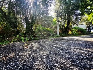 -2126371005061_7a0ed4d9-22cc-4147-b8ce-ec804b8b3e07.jpg