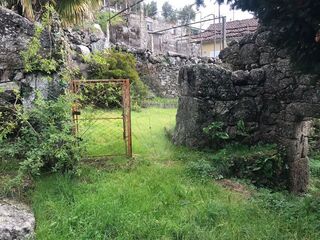 -2126371008015_17f1dbd9-6937-4438-9a5a-5428d19c4a96.jpg