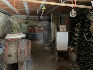 -2126371008023_a80a8409-12f1-418f-9d84-66c04d882d5f.jpg